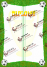 Diploms -nr.13-