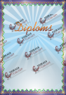 Diploms -nr.5-